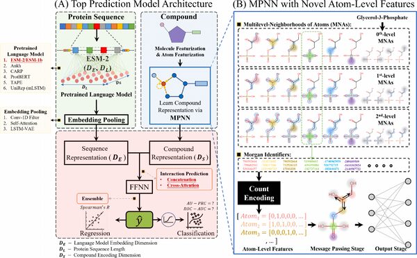Summary figure for CPI-Pred: A deep learning framework for predicting functional parameters of compound-protein interactions