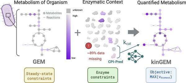 Summary figure for kinGEMs: A Robust and Scalable Framework for Resource-Constraint Models through Stochastic Tuning of Deep Learning-Predicted Kinetic Parameters