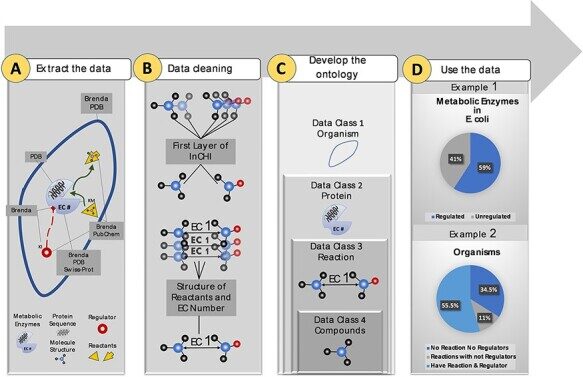 Summary figure for KinMod database: a tool for investigating metabolic regulation